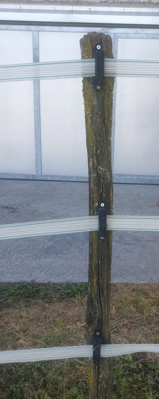 Sonstige Stalleinrichtungen: Isolatoren für Weidezaun – Gebraucht aus Edlibach von mondschein020 4