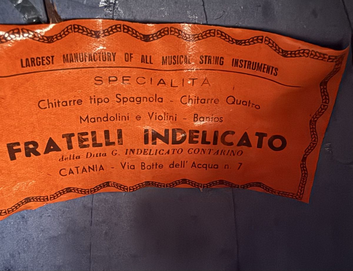 Strumenti musicali: Fratelli Indelicato Mandoline, Musikinstrument. – Usato da Goldach venduto da Messerguru 5