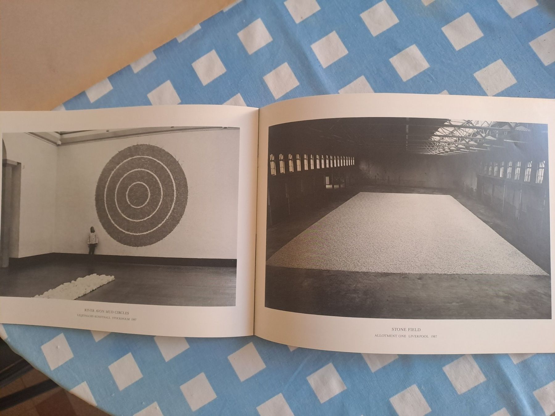 Bücher: Richard Long DONALDYOUNG GALLERY – Gebraucht aus LAUSANNE von KWEW 4