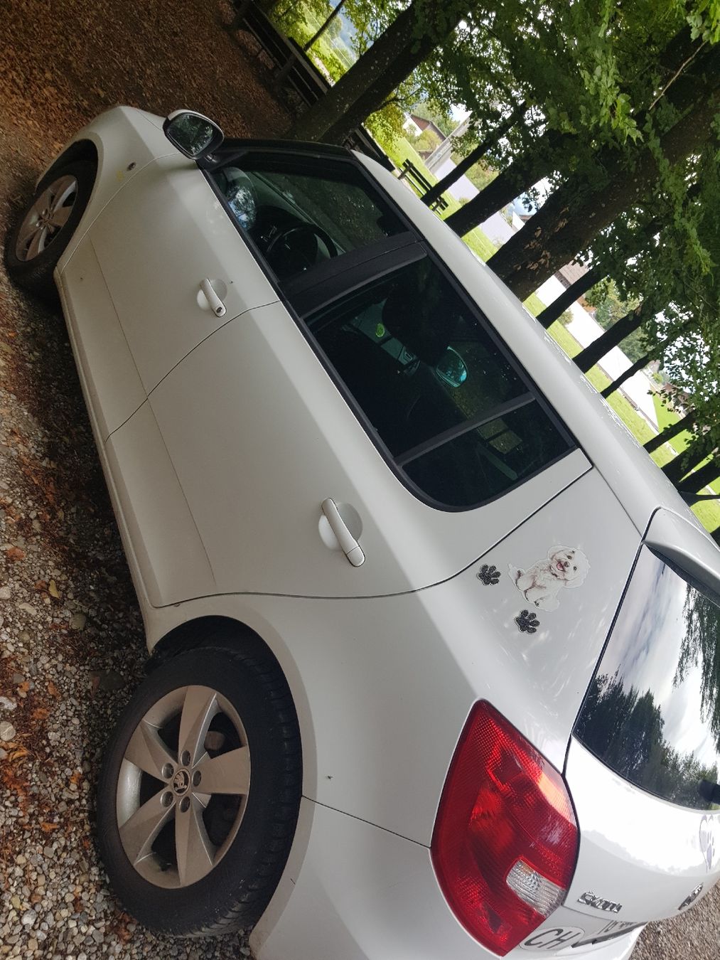 Skoda Automobili: Fabia Skoda Auto – Usato da Zihlschlacht venduto da Sun25 3