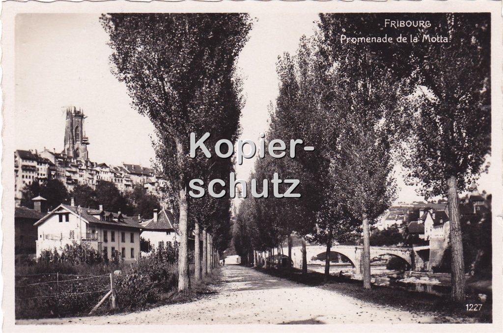 Ansichtskarten: Fribourg - Promenade de la Motta /af – Gebraucht aus Hombrechtikon von