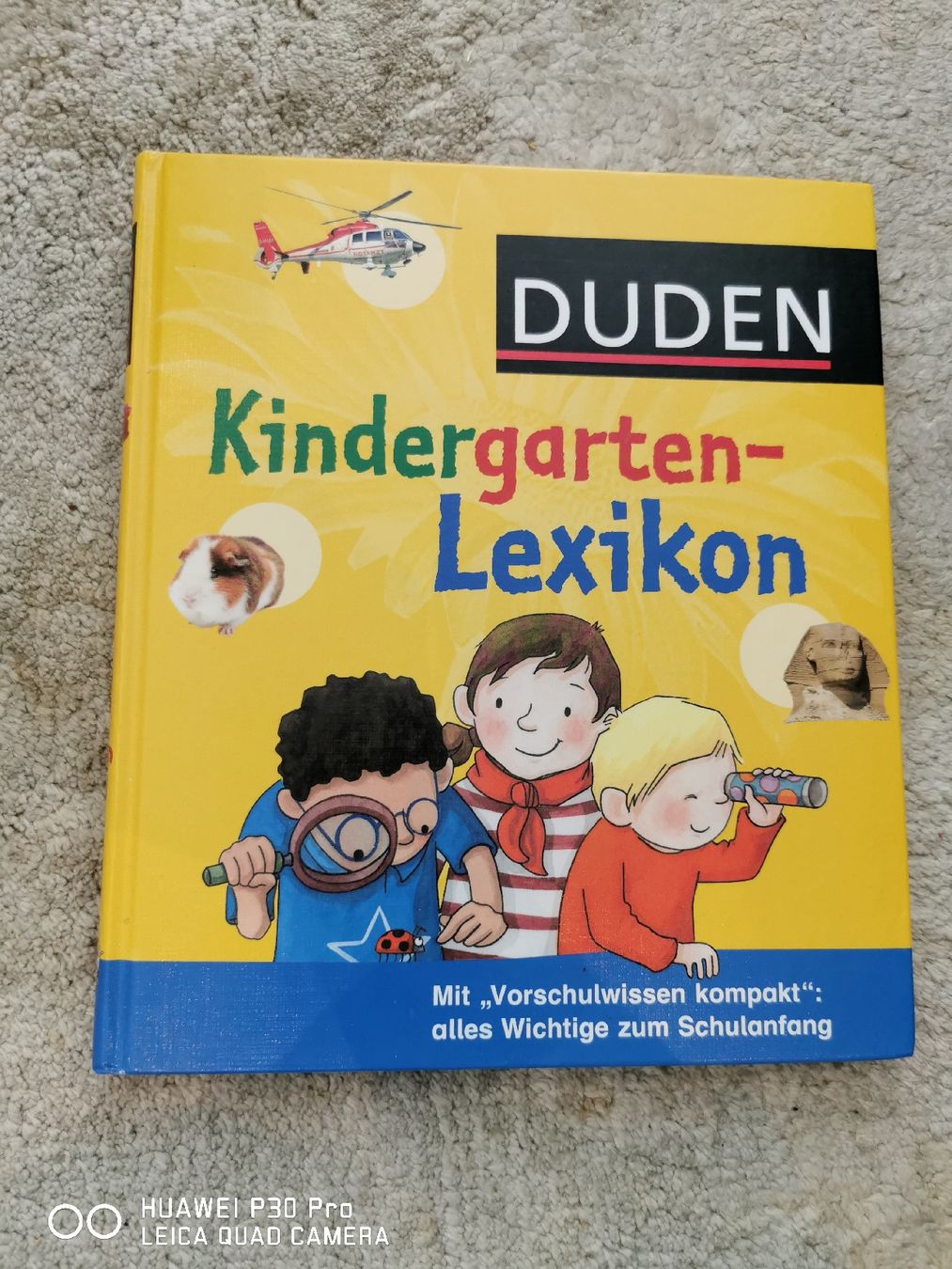 Bücher: Duden Kindergarten-Lexikon, NEU – Neu (gemäss Beschreibung) aus Erlenbach ZH von alisamilana