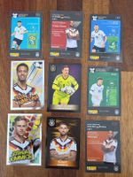 Panini Sticker
