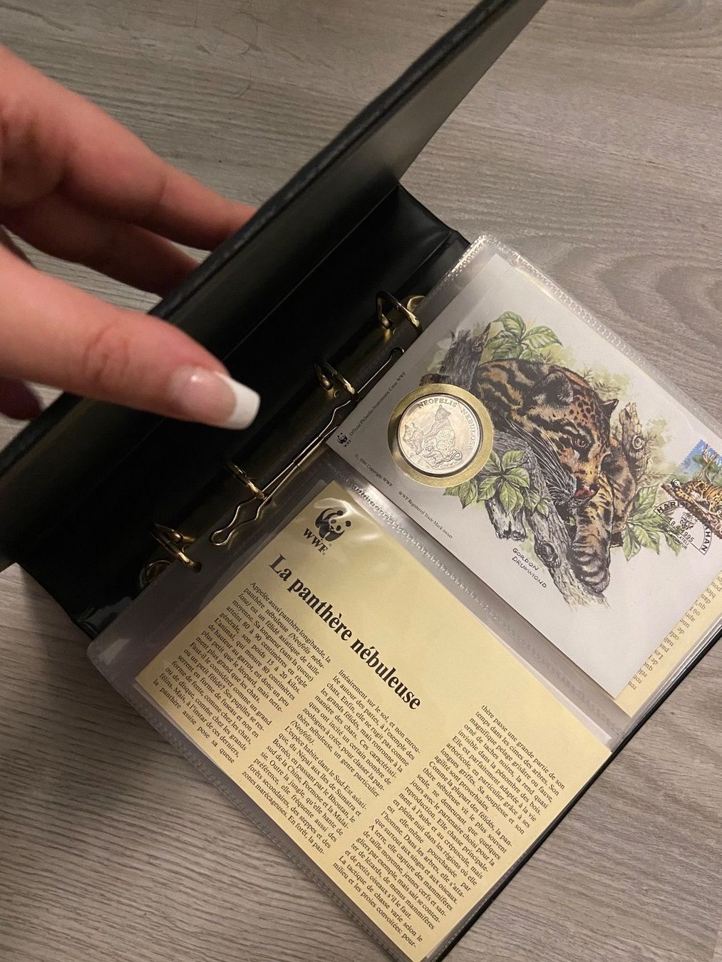 Alle Münzen: Collection de 19 pièces d'argent du WWF – Gebraucht aus Montreux von Perledor 2