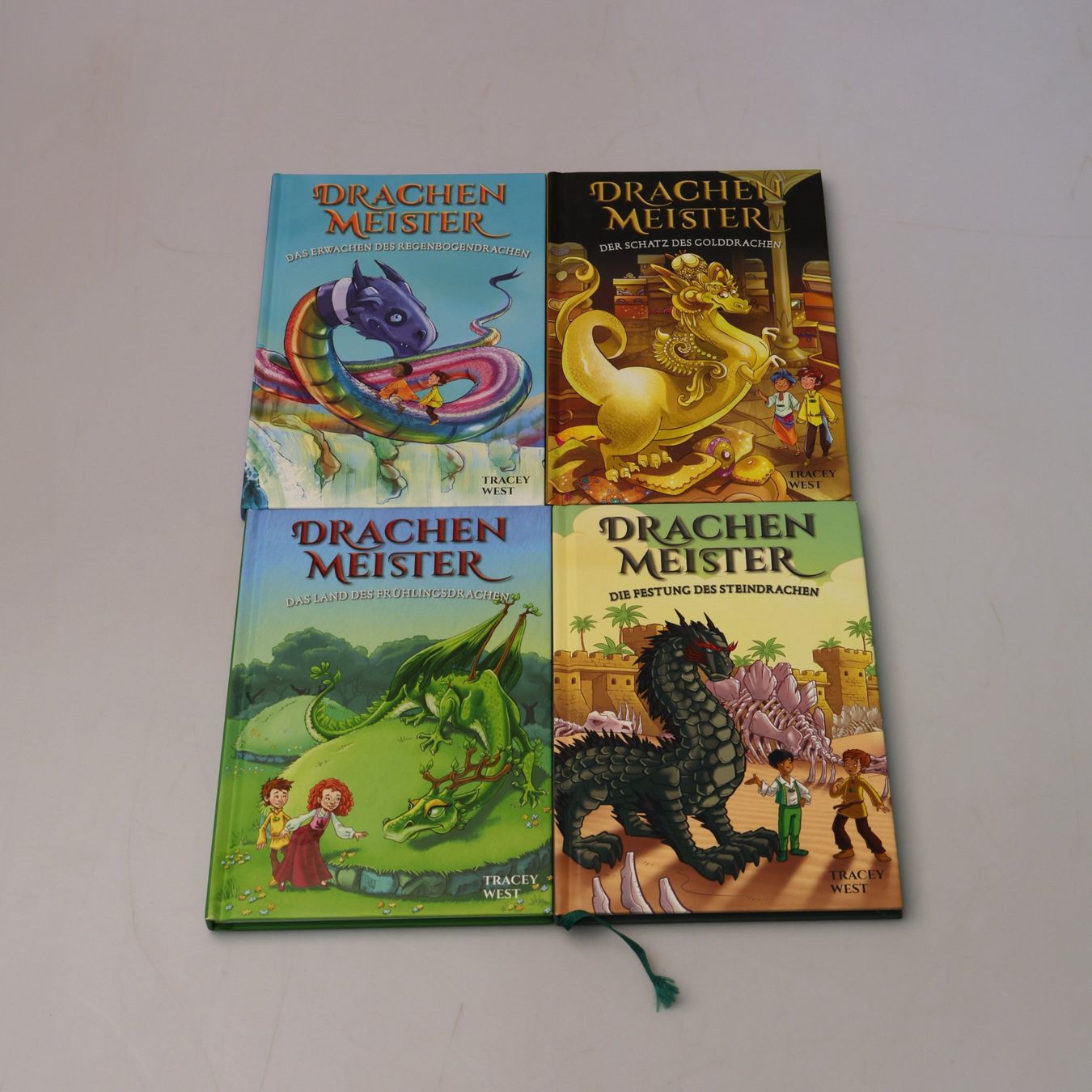 Libri: Drachenmeister Bücher - 10Stück – Usato da Volketswil venduto da brockipfannenstil 2