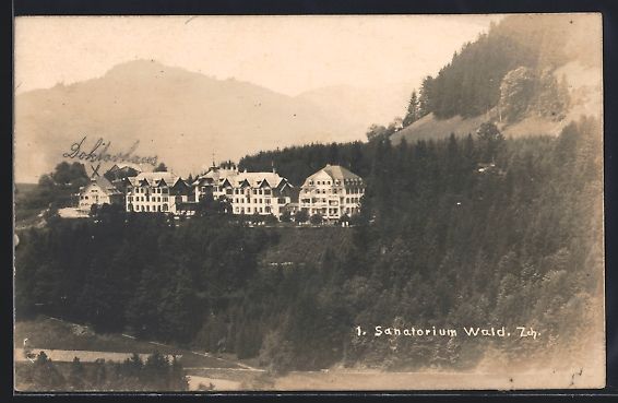 Cartes postales: AK Wald /Zch., Blick auf das Sanatorium – D'occasion à Berlin par bartko-reher