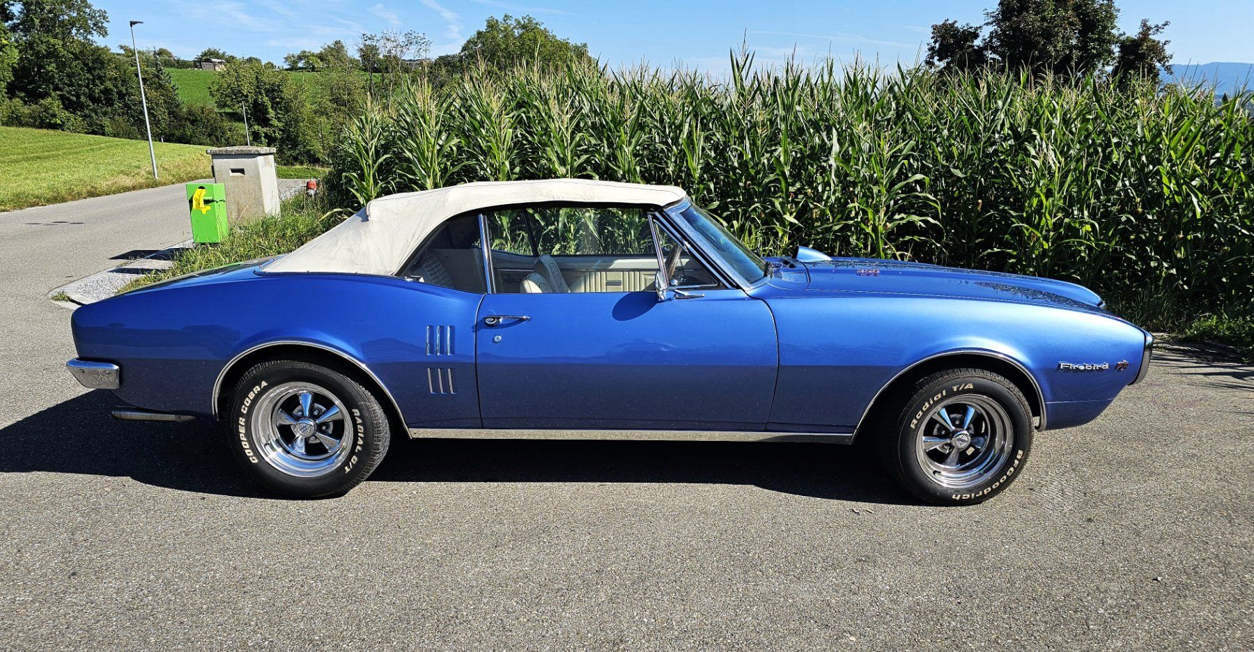 Pontiac Autos: Pontic Firebird – Gebraucht aus Männedorf von Kirribilli 3