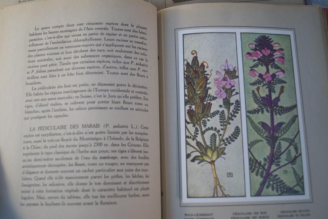 Libri: NOS FLEURS 1 & 2 Philippe Robert Henri Spinner / Suchard – Usato da Härkingen venduto da sammelbecken 5
