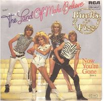 Bucks Fizz  --  The land of make believe  Single7