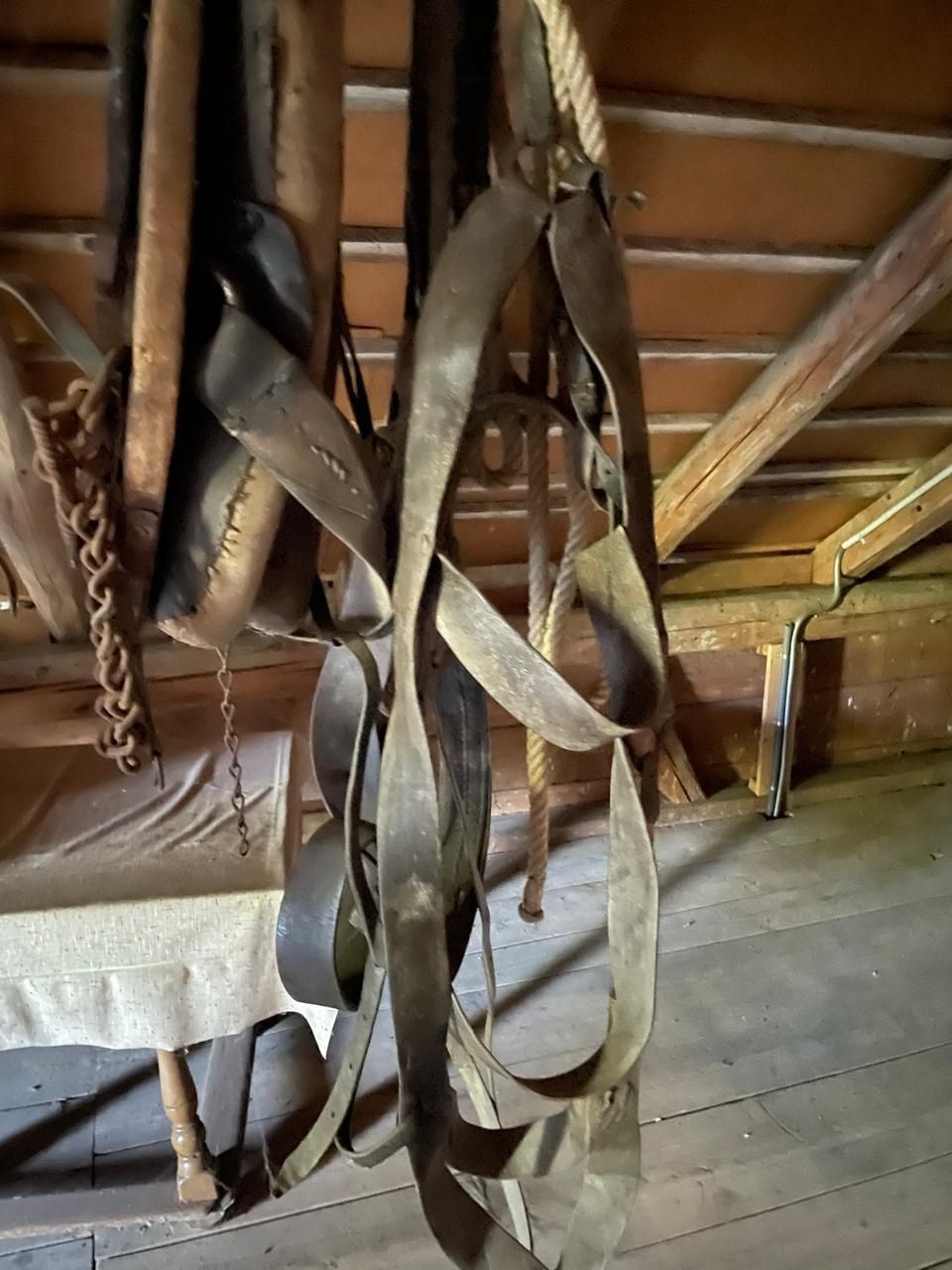 Brides, licols: Altes Ledergeschirr mit Kette und Seil – D'occasion à Schellenberg par wohlfab