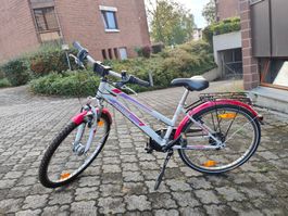 Pegasus Damenvelo / Mädchenvelo 26 Zoll – Shimano – fahrbere