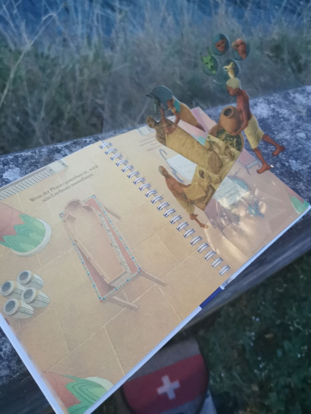 Livres: Die Pyramide – D'occasion à Bern par cam_b7ts