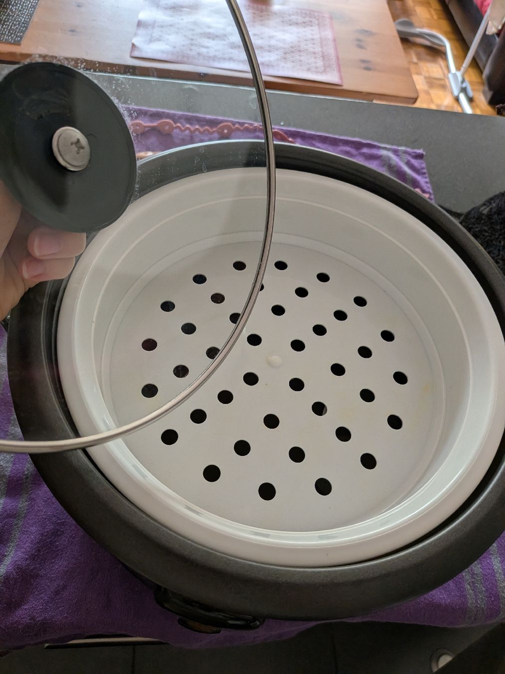 Russell Hobbs Elettrodomestici da cucina: Russell Hobbs Rice Cooker  – Usato da Genève venduto da Loloana 1