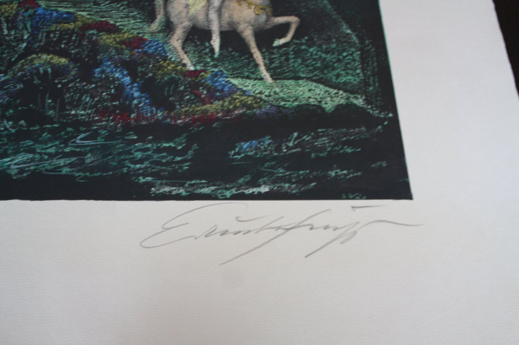 Grafica & Litografie: Farbe litografia von Ernst Fuchs – Usato da Altstätten SG venduto da sulim 1