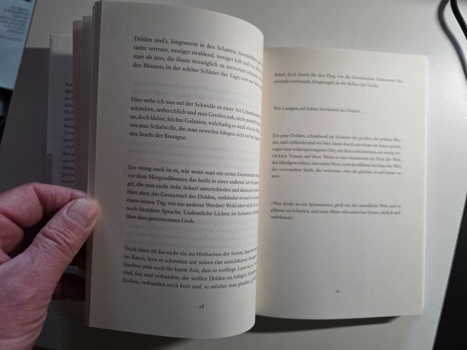 Libri: Philippe Jaccottet - Die wenigen Geräusche - 2020 – Nuovo (secondo la descrizione) da Walterswil BE venduto da Lonitti 3