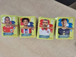 WM Panini Bilder 2026