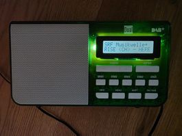 Dual DAB 4.1 T - DAB und UKW Radio Empfänger Gerät grün