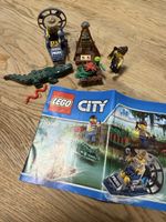 Lego Everglades