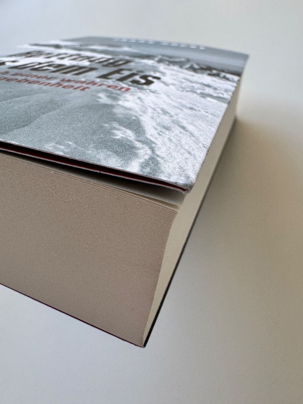 Livres: Buch: Rettung aus dem Eis – Neuf avec emballage d'origine à Zürich par Lionsands 2