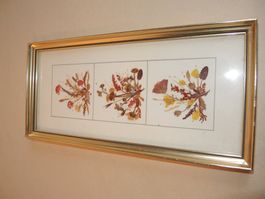 REICHLIN Herbstliches Bild gepresste Blumen mit Goldrahmen