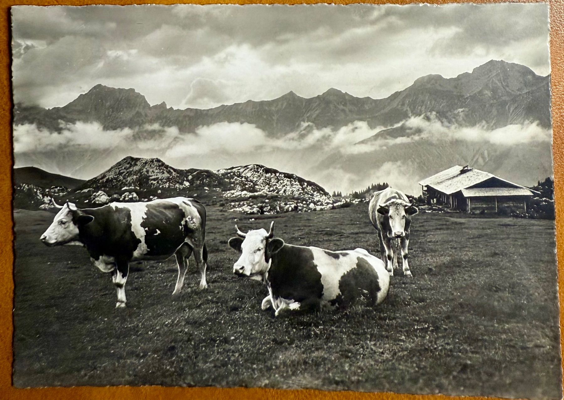 Cartoline postali: Auf der Alp - Kühe 1939 – Usato da Lutry venduto da Ediego