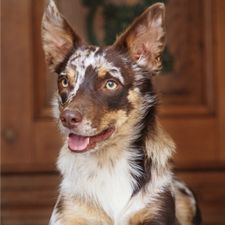 Profile image of Almendra