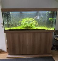 Juwel Rio 450 Aquarium mit Unterschrank & Eheim Filtern