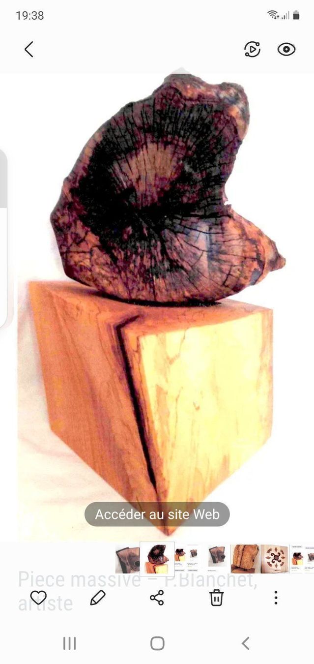 Articoli in legno: Pièce massive, sculpture Ph. Blanchet – Nuovo e nell'imballaggio originale da DUGNY (-Leytron) venduto da Rdeny 4