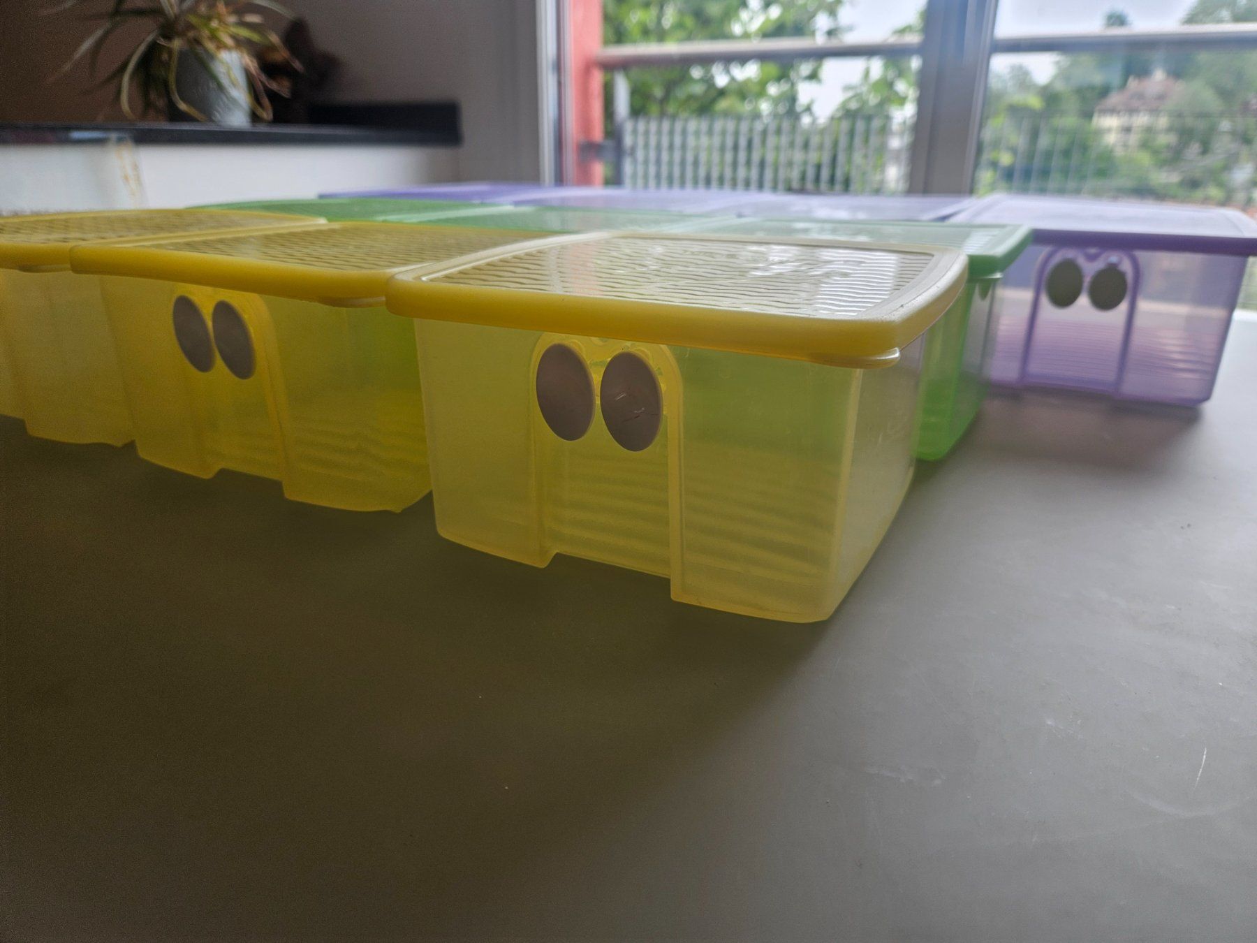 Tupperware Contenitori & Simili: 10 x Tupperware Prima Klima Boxen – Usato da Luzern venduto da schuhparadies159 3