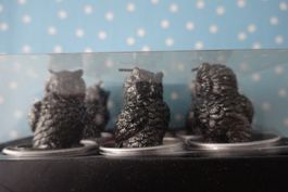 6er Set Eulen Uhu Kerzen, schwarz, NEU + OVP Tischdekoration