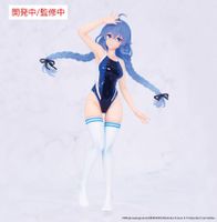 Vivit Roxy Migurdia Competition Swimwear Ver. 18 cm