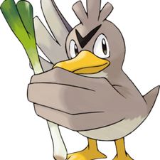 Profile image of Canarticho