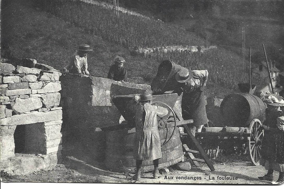 Cartoline postali: AK  Weinlese  NE – Usato da Appenzell venduto da mai25