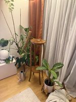 Blumenständer Holz Vintage mit Ablagen gut erhalten