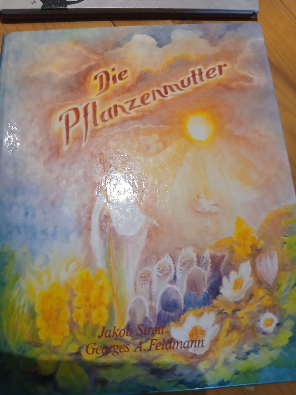 Bücher: 4 wunderschöne Bilderbücher – Marcus Pfister & weitere – Gebraucht aus Märstetten von Chapep 3