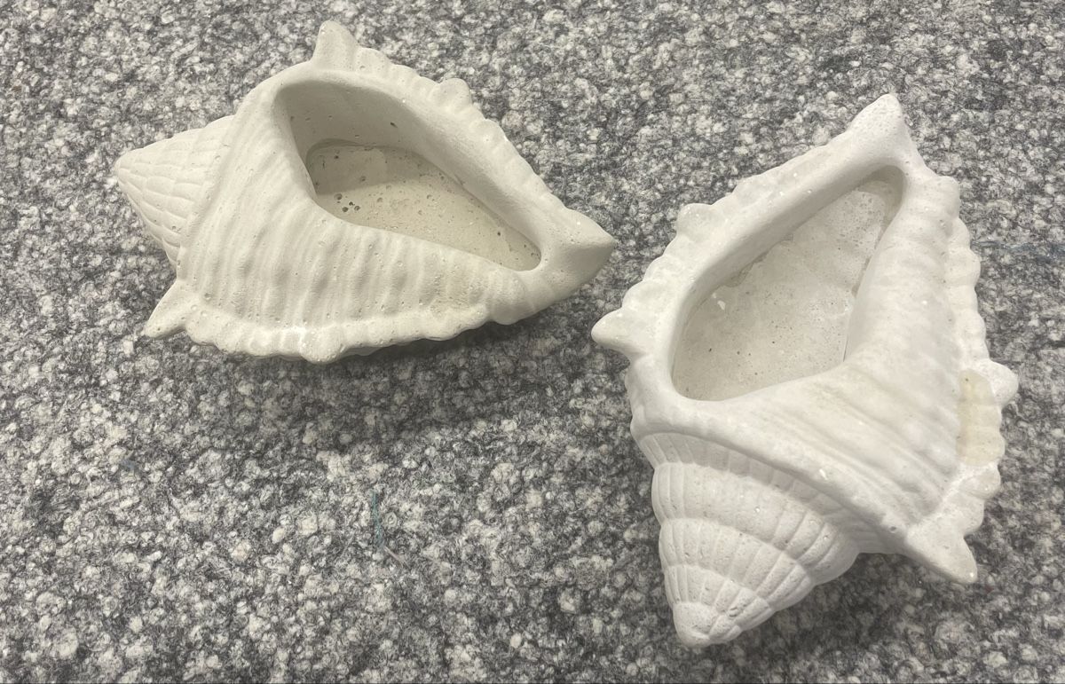 Vasi per fiori: 2 Muschel-Übertopfe/Dekoartikel ,Vase – Nuovo e nell'imballaggio originale da Au ZH venduto da Jaggy4 4