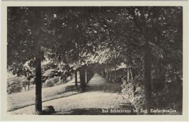 ZG 47 Foto-AK Bad Schönbrunn Kastanienallee
