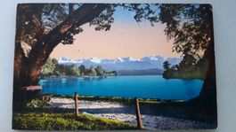 Thunersee und die Alpen