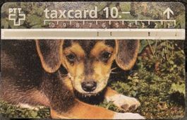 Taxcard 607A