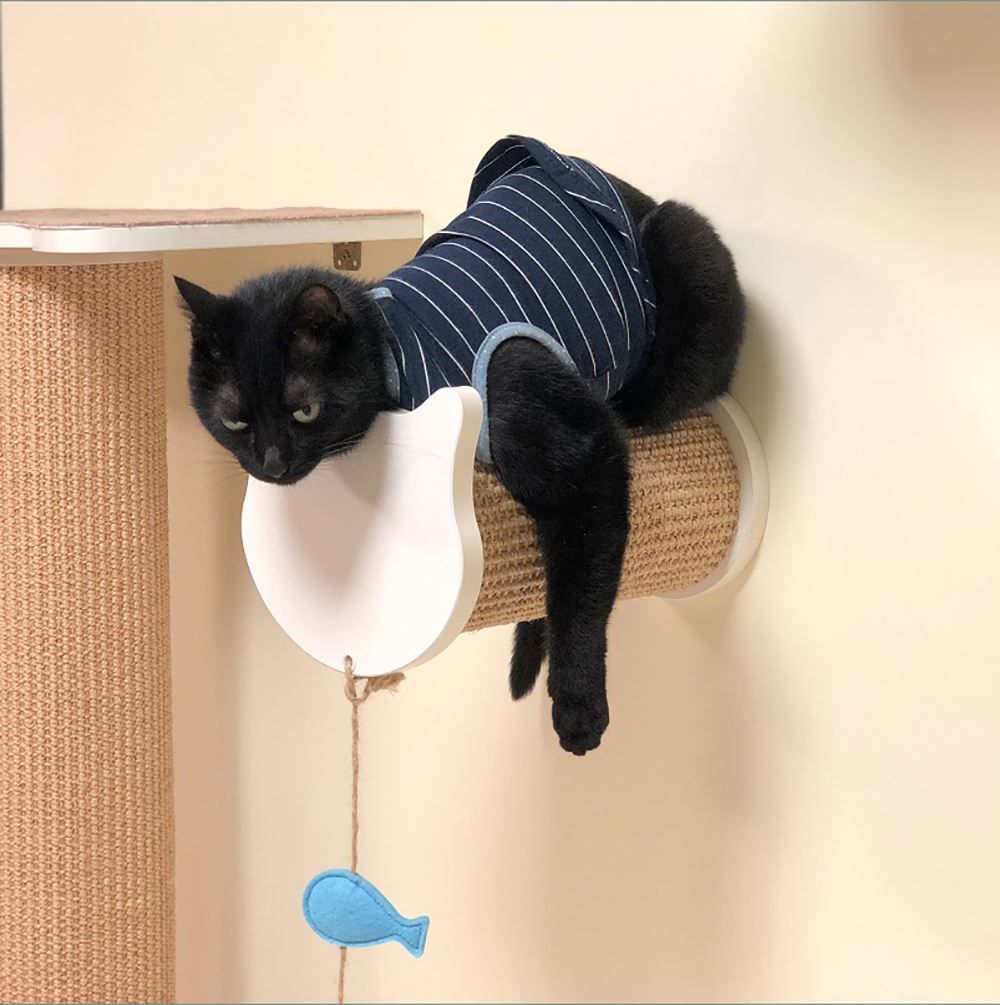 Liege- & Schlafplätze: CatS Design Kletterwand große Katzen ... – Neu und originalverpackt aus Mönchengladbach von Zoopplier 6