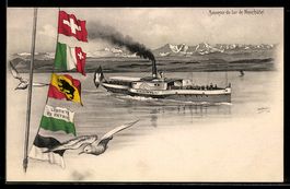 Der Salondampfer Hallwyl auf dem Lac de 
