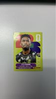 Panini Sticker Sipho Chaine