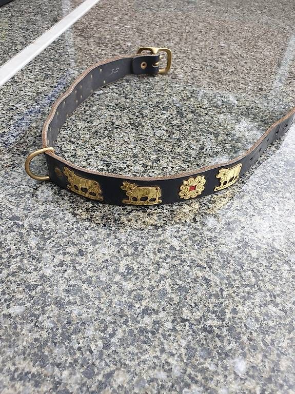 Guinzagli & Collari: Hunde echt Leder Halsband – Usato da Rickenbach LU venduto da trucker.s 1