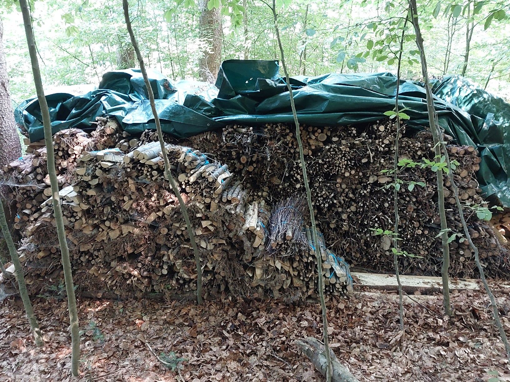 Holzartikel: Brennholz Büscheli – Gebraucht aus Bichwil von Philip96 1