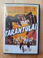 Tarantula