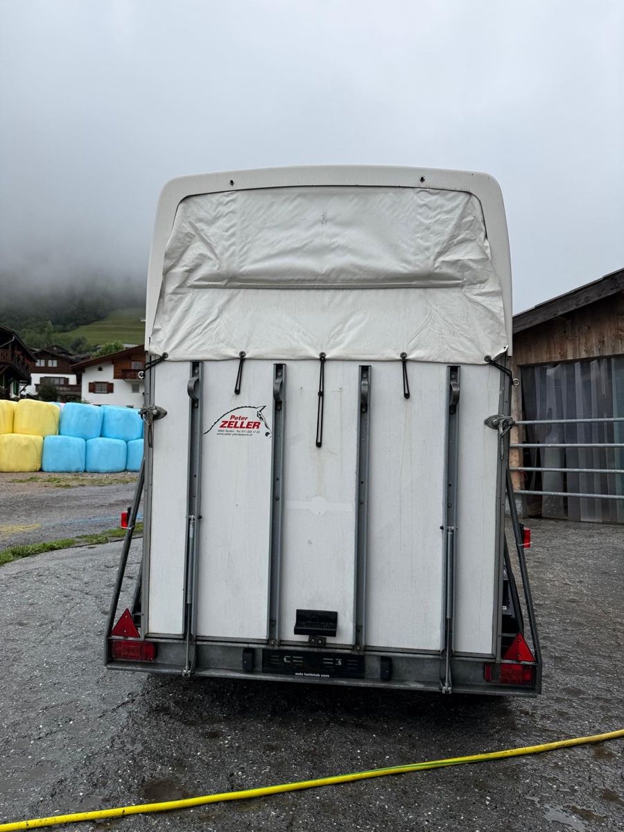 Remorques: Pferdeanhänger – D'occasion à Klosters Dorf par armin94 4
