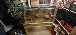 Terrarium