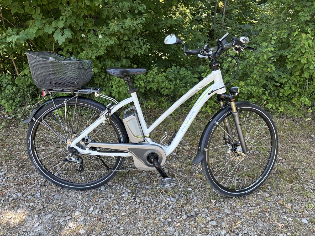 Flyer Biciclette: Flyer 45 km/h – Usato da Kleindietwil venduto da her_d77z