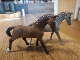 Schleich Pferde, Konvolut, Top Zustand,Schnäppli!