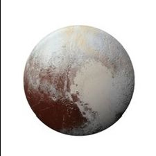 Profile image of Thom